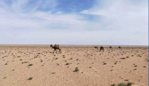 20201218191333_29105.png image.png