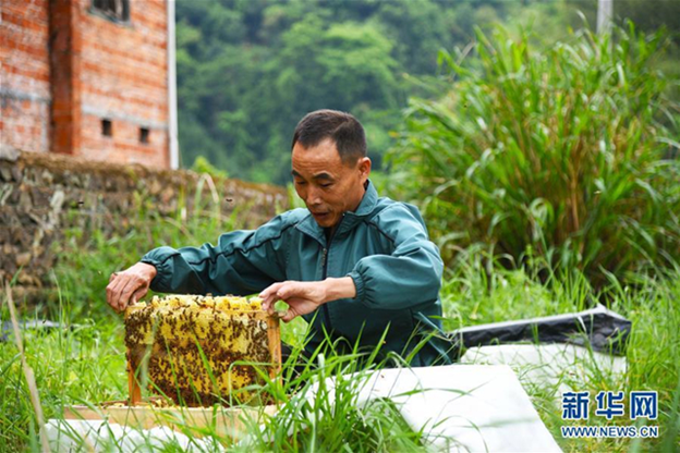 20210107004442_49446.png image.png