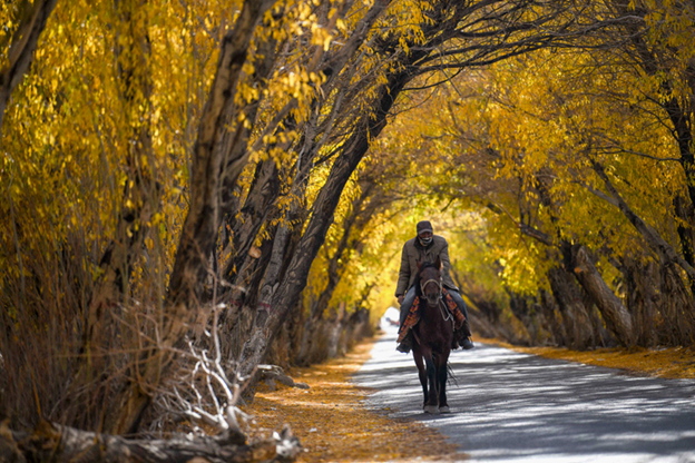 20210820230148_54911.png image.png