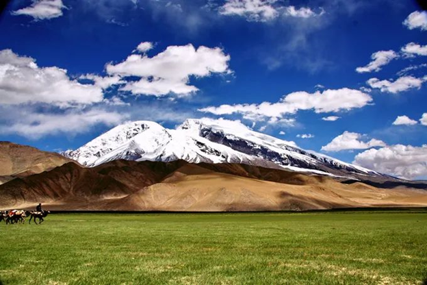 20210820230229_33472.png image.png