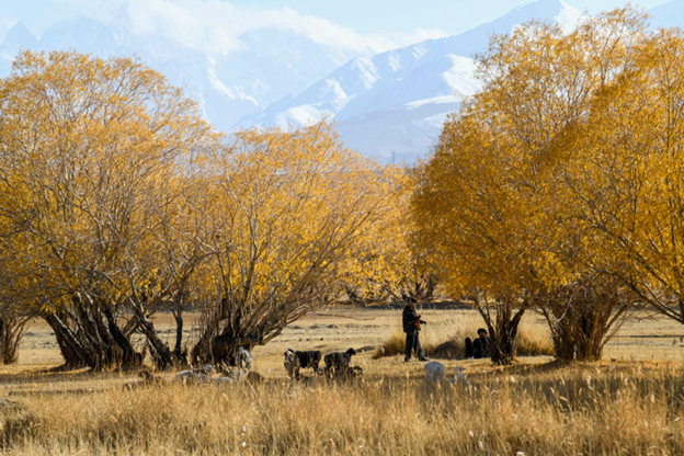 20210820230314_79183.png image.png