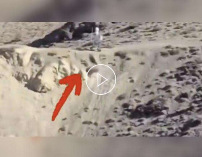 20251203225101_73949.png image.png