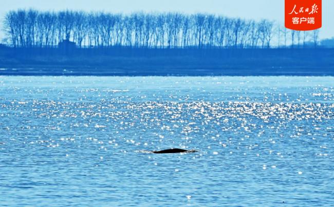 20260319225347_40477.png image.png