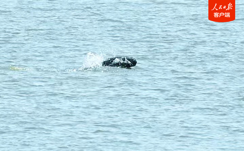 20260319225413_36547.png image.png